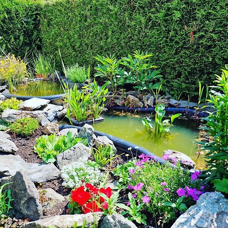 Ferienwohnung Haus Sonnenblick Burkhardtsdorf Dış mekan fotoğraf